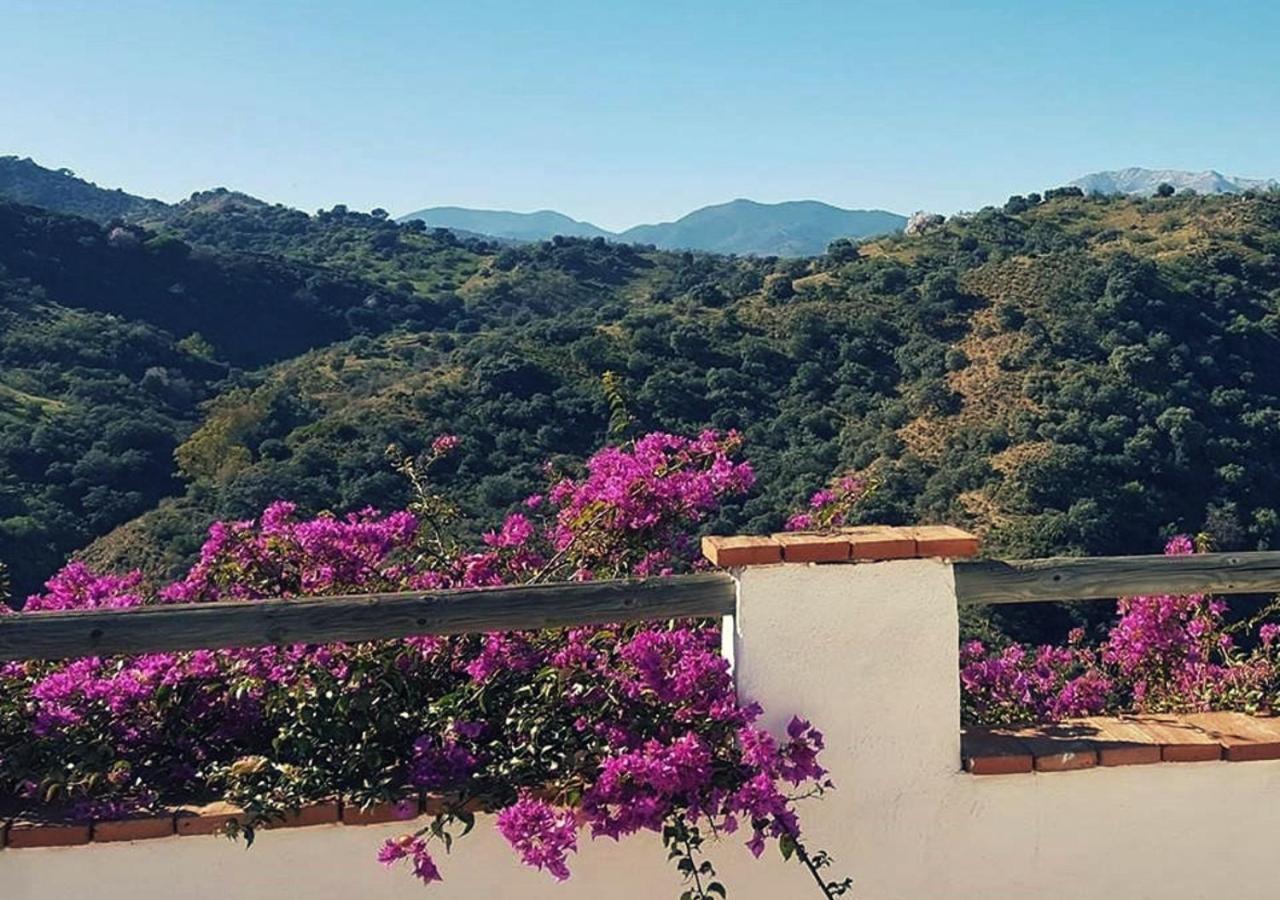 Corazon Andaluz Guesthouse Coín Buitenkant foto