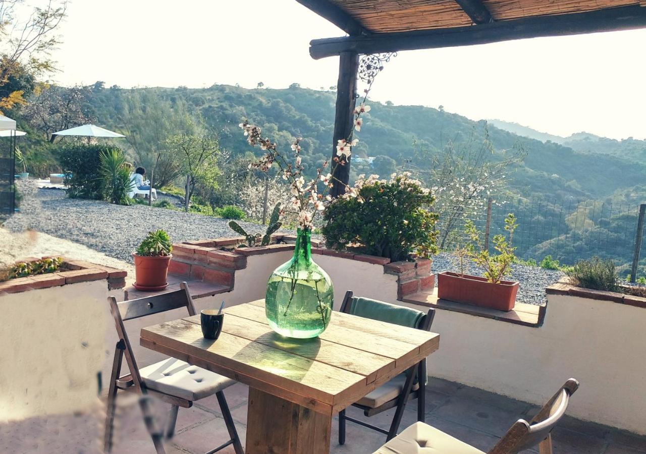 Corazon Andaluz Guesthouse Coín Buitenkant foto